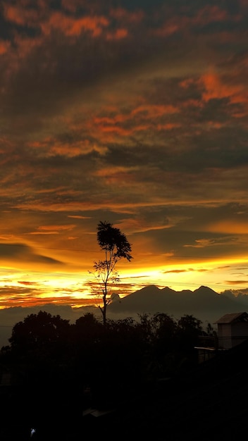 A tree in front of a mountain with the sun setting behind it