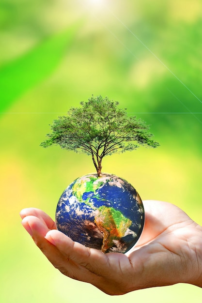 tree and globe in hand save the world concept protect the environment on earth day