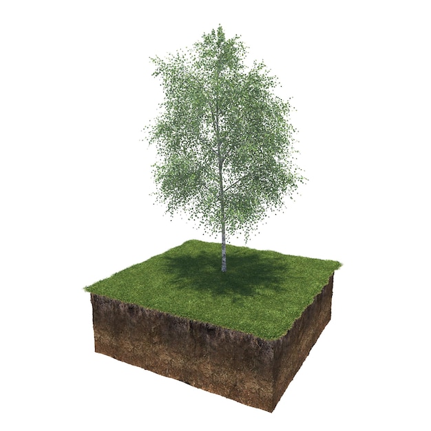 tree on the grass and a slice of soil under it, 3d render