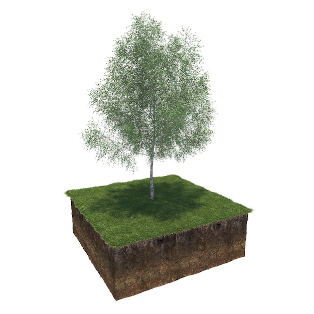 tree on the grass and a slice of soil under it, 3d render