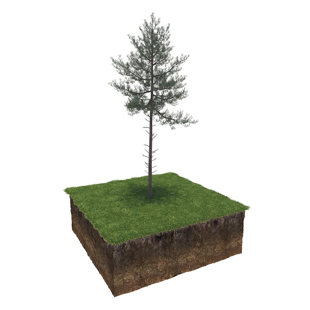 tree on the grass and a slice of soil under it, 3d render