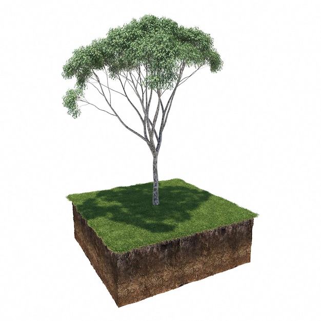 tree on the grass and a slice of soil under it, 3d render