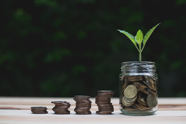 Tree grow on coins in gar glass on green background Business and Finance concept