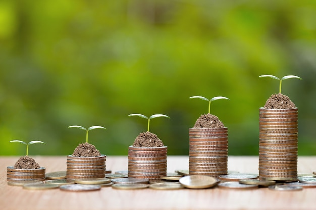 Tree growing on pile of coins money. 