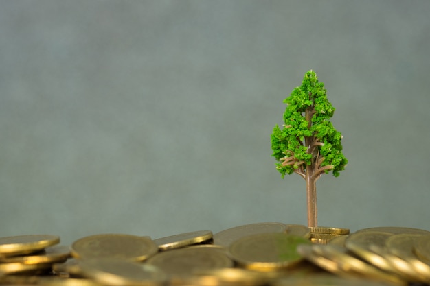 Tree growing on pile of golden coins