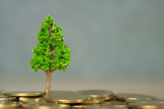 Tree growing on pile of golden coins