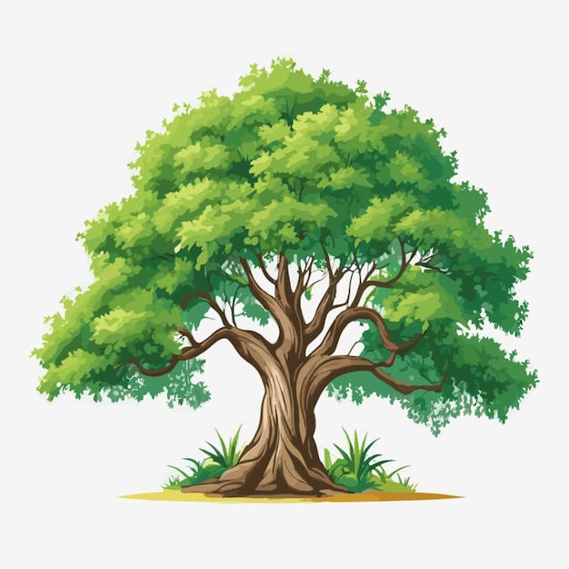 Tree illustration vector