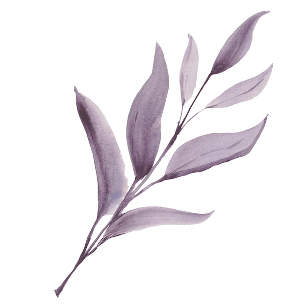 Tree leaf Watercolor purple leaves A set elements on a white background