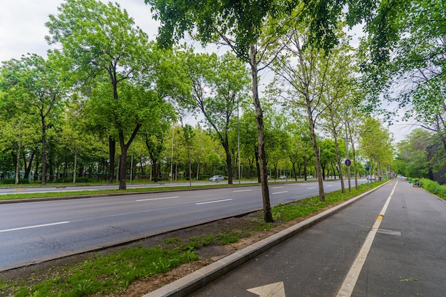 Photo a tree lined street with a white arrow pointing to the left