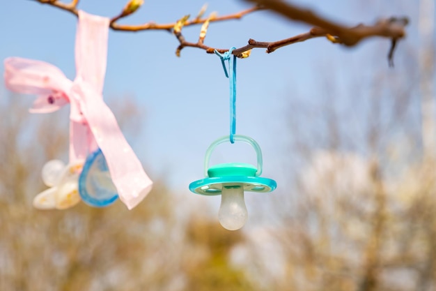 Tree of pacifiers at Zoo Zurich