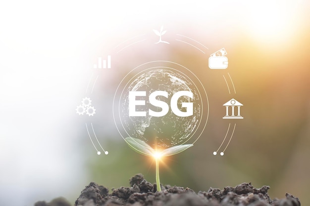 Tree seeding growth in concept ESG Environmental Social Governance