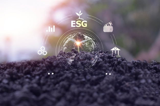 Tree seeding growth in concept ESG Environmental Social Governance