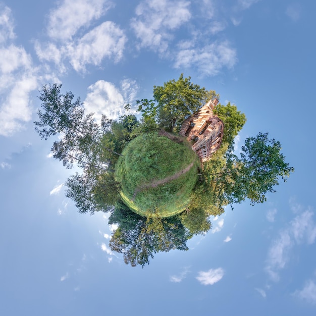 Tree on a small globe growing in the ruins of an old castle