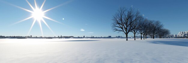 Photo a tree in the snow