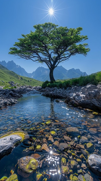 Tree Standing Strong in Stream with Mountains in Background