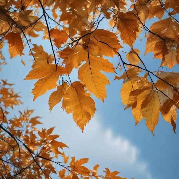 a tree with autumn leaves that has the word  on it