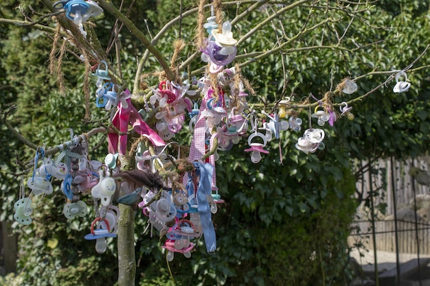 A tree with baby clothes on it and a ribbon tied to it