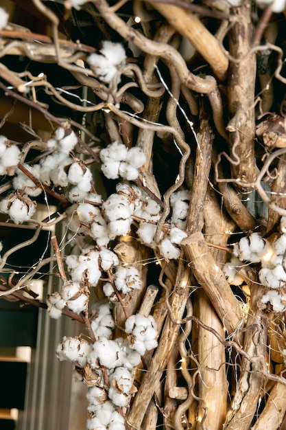 A tree with a branch that has the word cotton on it.