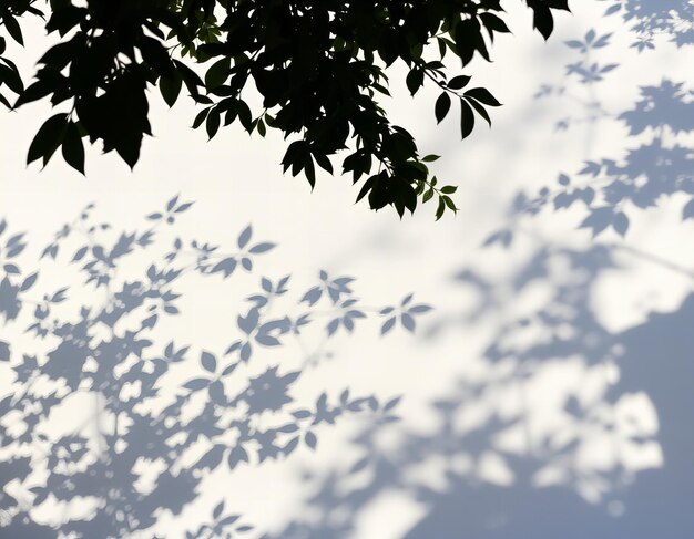 Photo a tree with leaves that has the word  on it