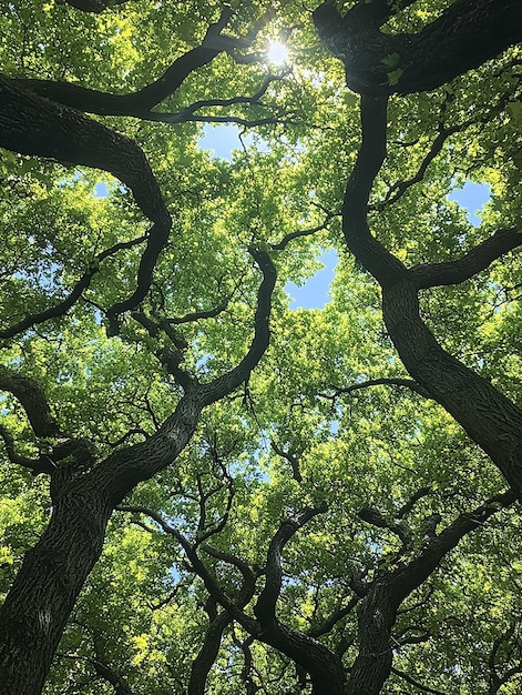 Photo a tree with many branches that are in the middle of a forest