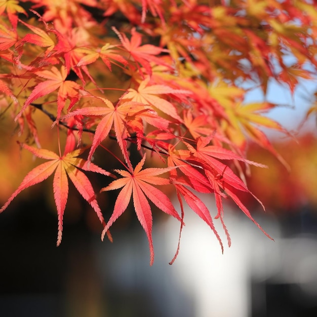 Photo a tree with orange leaves that has the word autumn on it