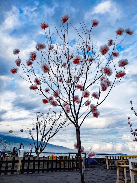 Tree with paper flowers by the beach