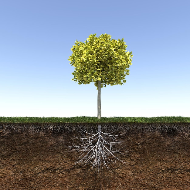 tree with strong and deep roots, 3d render