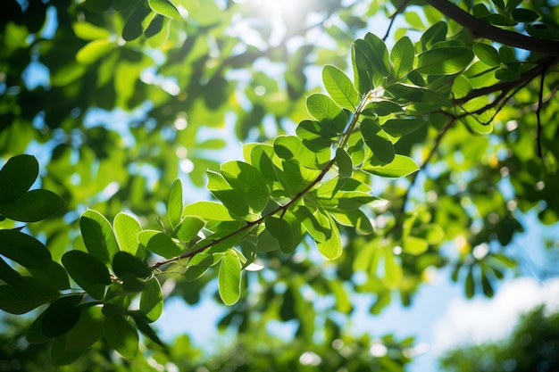 Photo tree with vibrant green leaves on a sunny day