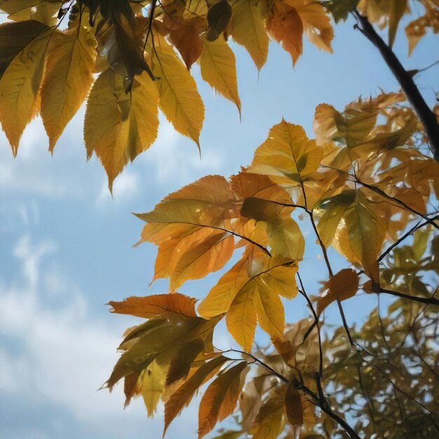 a tree with yellow leaves that has the word  autumn  on it