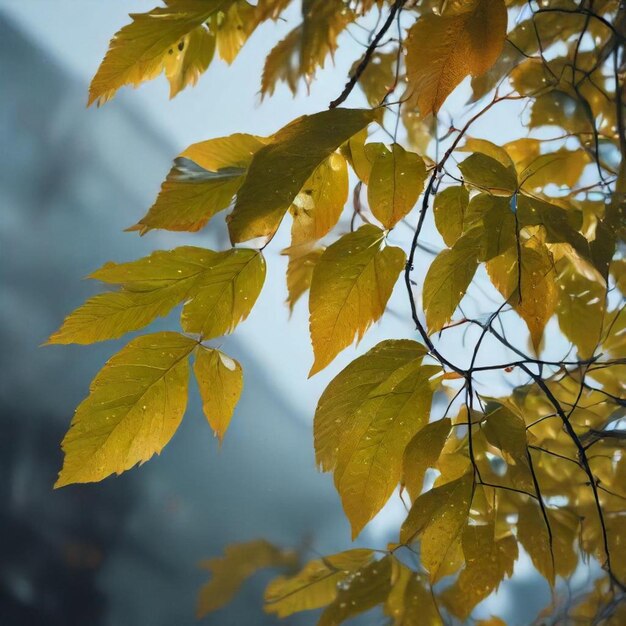 a tree with yellow leaves that has the word  on it