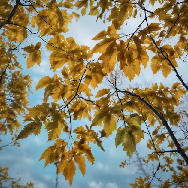 a tree with yellow leaves that has the word  on it