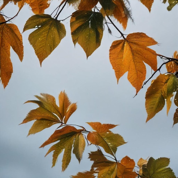 a tree with yellow leaves that say  autumn