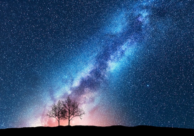 Trees against starry sky with Milky Way