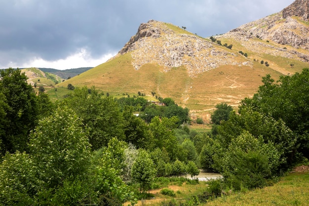 Trees around the mountain plateau