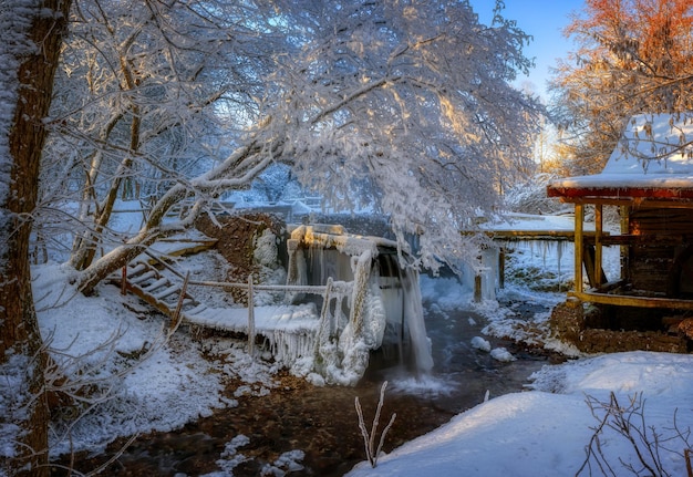 Trees covered with frosting near the old mill. Frosty winter.