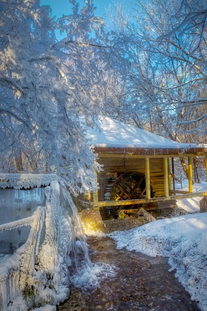 Trees covered with frosting near the old mill Frosty winter