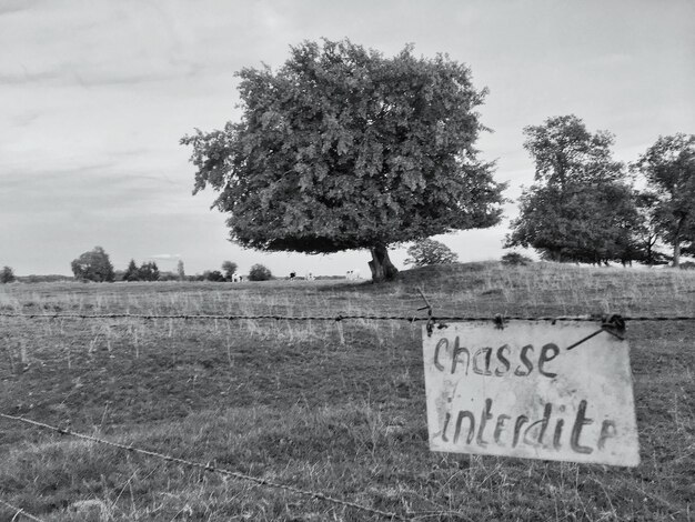 Photo trees on field against sky