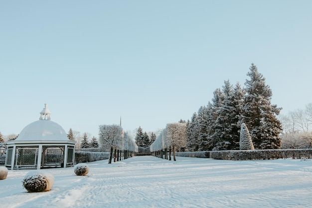 Trees and fountains in Grand Cascade of Peterhof, Russia in winter