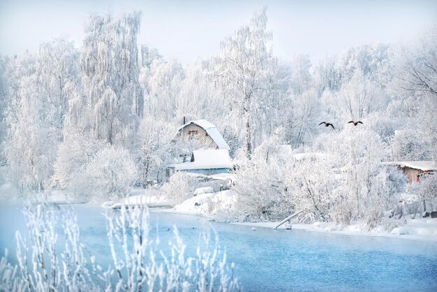 Trees and a house on the bank of a blue river in a white snowy frost in the Moscow region