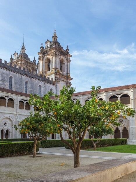 Trees in the inner garden of Monastery Alcobaca