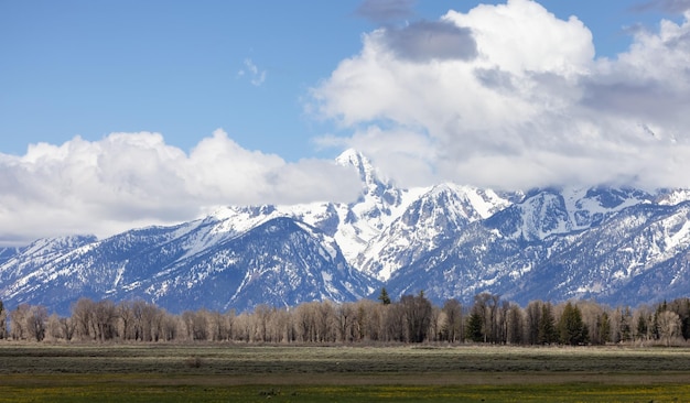 Trees land and mountains in american landscape spring season