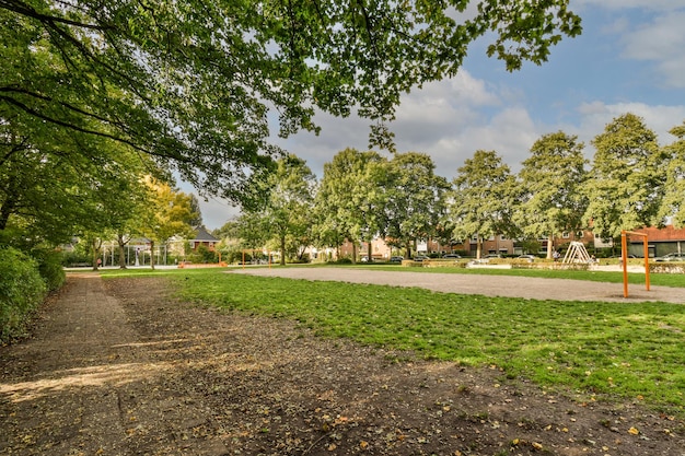 Photo trees in park