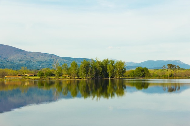 Trees reflected in the river Natural mirror Selective focus Copy space