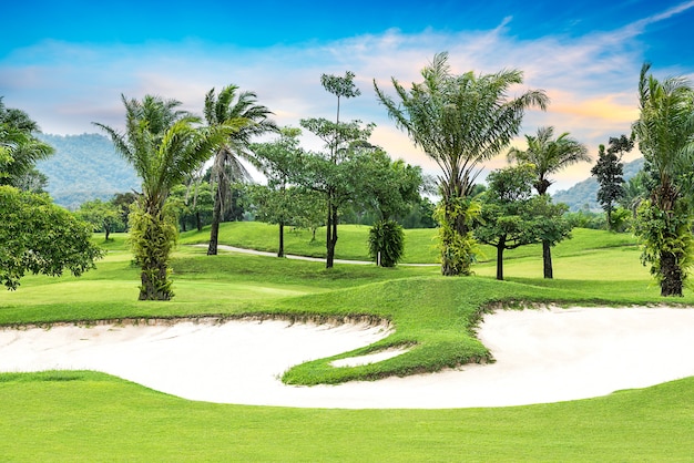 Trees and sand on golf course