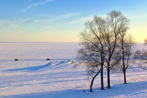 Trees on the shore of the reservoir The frozen surface of the Novosibirsk reservoir in the evening