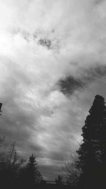 Photo trees silhouetted against sky