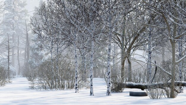 trees in the snow, winter forest