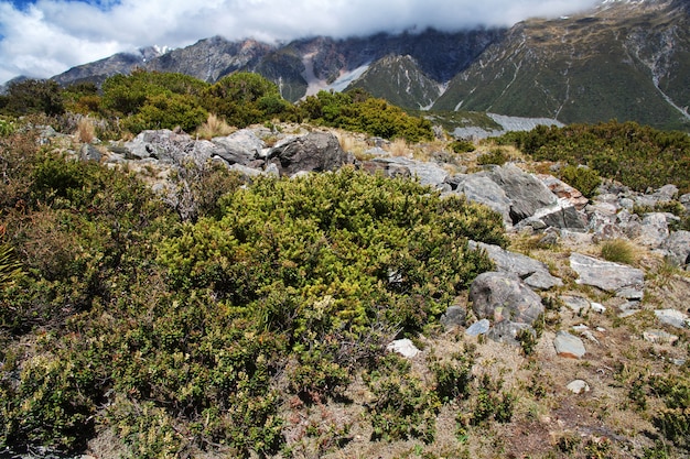 Trekking in Hooker valley, New Zealand