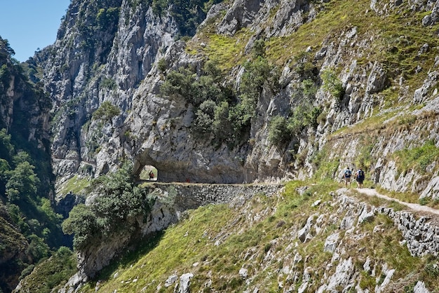 Photo trekking in the ruta of cares in the asturian mountain of spain