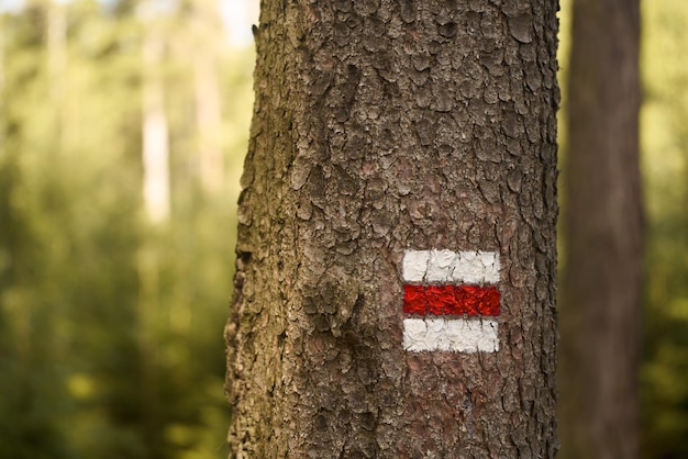 Trekking Signpost Red Marker for Forest Trails and Adventures